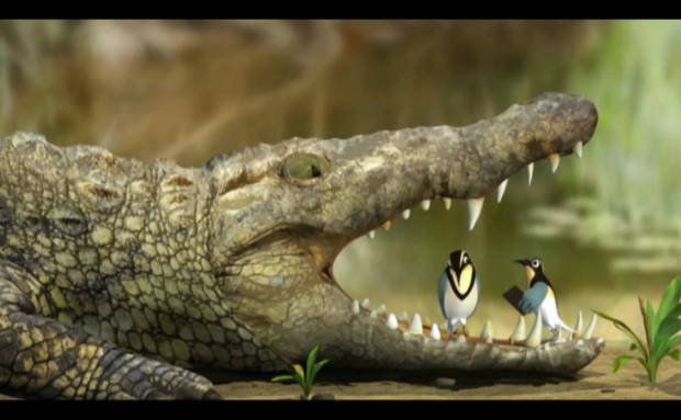 Birds feed on food remnants inside a crocodile.